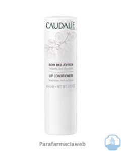 Caudalie tratamiento labios reparador