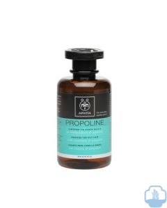 Apivita champu cabello graso