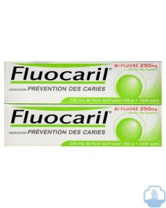 Fluocaril pasta dentifrica duplo 2 x 125 ml